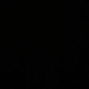 Meet your Posher, Sandy